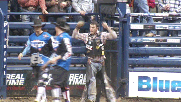 professional bull riders pbr gif find share on giphy medium