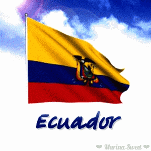 bandera de ecuador animada frases pinterest medium