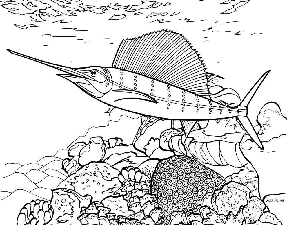 lily pad coloring page free coloring pages for kidsfree coloring medium