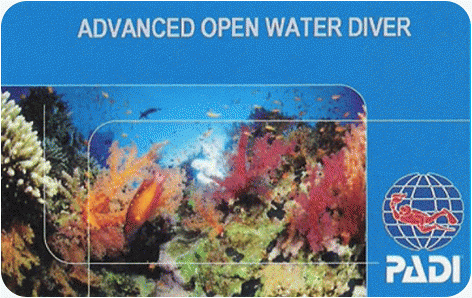 advanced training specialties rhea dive medium