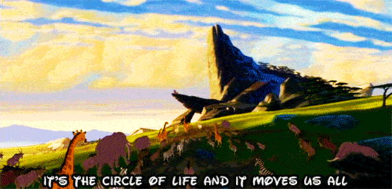 here s what the lion king can teach you about the circle of life huffpost medium