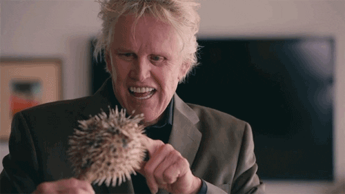 greeting gary busey gif find share on giphy medium