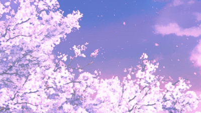gif anime trees purple nature cherry blossom nature gif anime gif medium