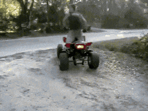 funny atv fail gif finder find and share funny animated gifs medium