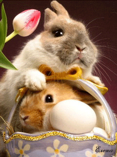 two bunnies double the fun happy easter gif easter gif s medium