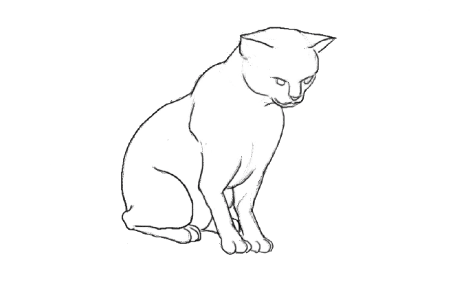 cat animation doodlelocity medium