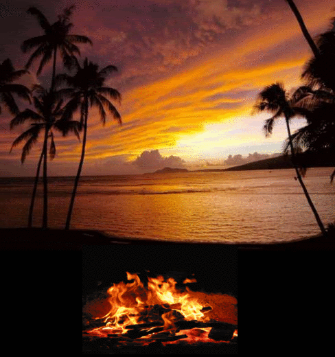 campfire on beach at sunset photo campfire beach gif magic eye medium