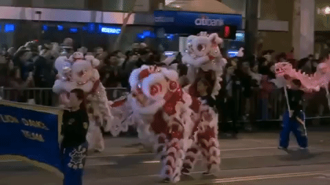 chinese new year parade gif find share on giphy medium
