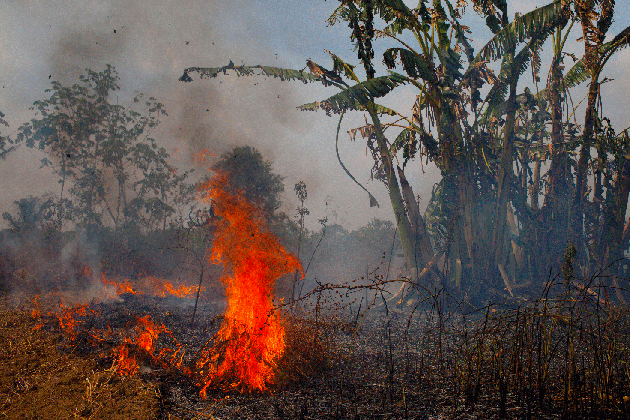 in the amazon s fire season you either burn or you starve ncpr news medium