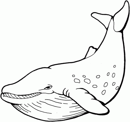 dolphin clipart black and white free download best dolphin clipart medium