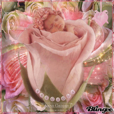 baby in rose picture 132844342 blingee com medium