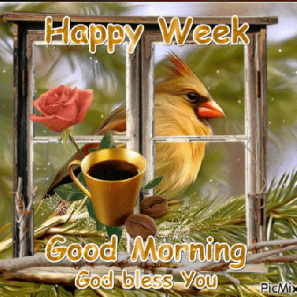happy week good morning pictures photos and images for medium