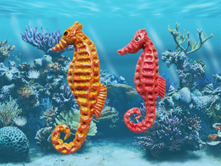 sea creature molds in silicone sea horses pinterest creatures medium
