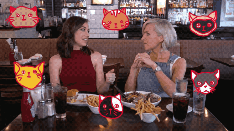waitress colleen ballinger talks toilet training her cat eating pie medium