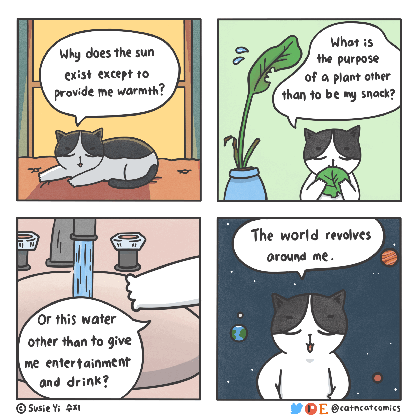 i make wholesome comics about two rescue cats and their human who understands cat speak laptrinhx tons of drinking water gif medium