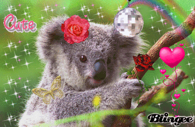 koala gif on gifer by kemuro medium