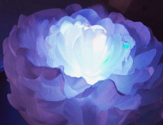 keitaistrap rakuten global market glowing flowers flower light medium