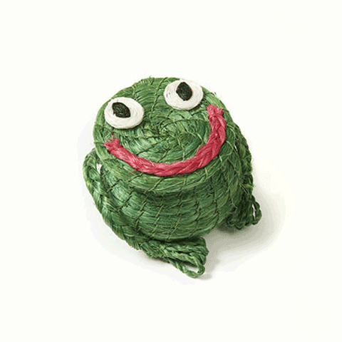 smiling frog basket frogs christmas gifts and gift medium