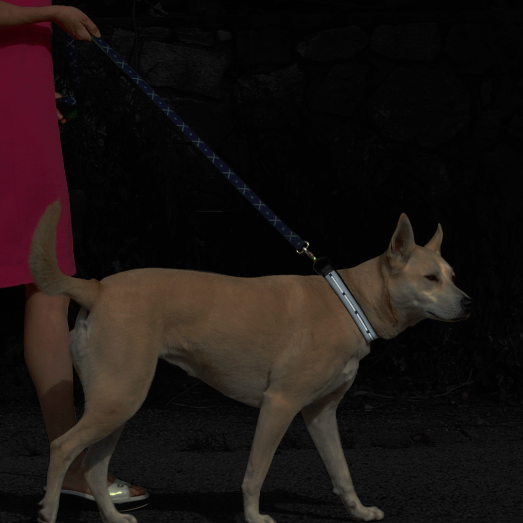 lightguide led for dog collar goneforarun with images medium