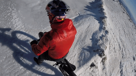 winter fail gif by red bull find share on giphy medium