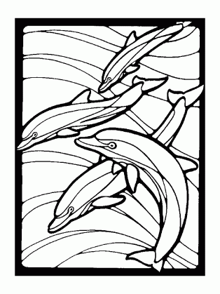 dolphin coloring pages coloring kids medium