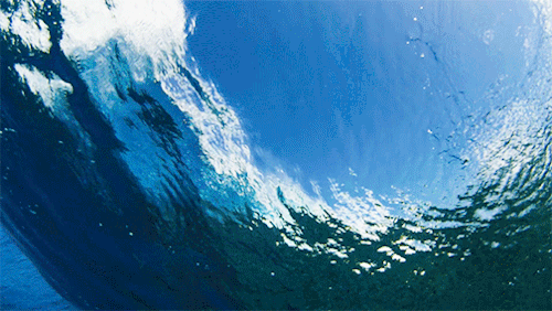 surfing gifs tumblr medium