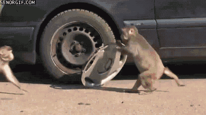 car stealing gif find share on giphy medium