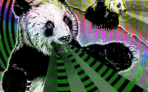trippy psychedelic panda panda pinterest psychedelic and panda medium