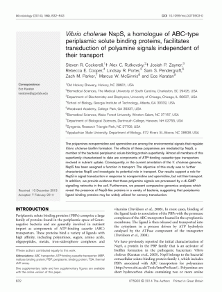 microbiology society journals vibrio cholerae nsps a homologue medium