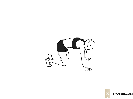 bear squat illustrated exercise guide medium