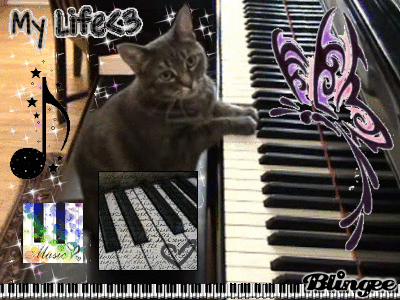 cat playing piano picture 73152349 blingee com medium