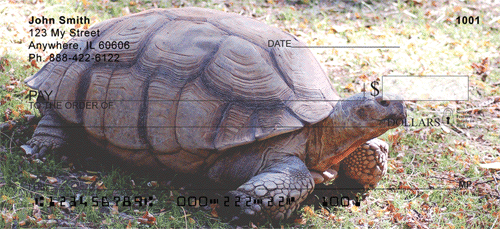 tortoise checks tortoise personal checks medium