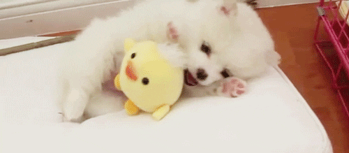 cute babies gif find share on giphy medium