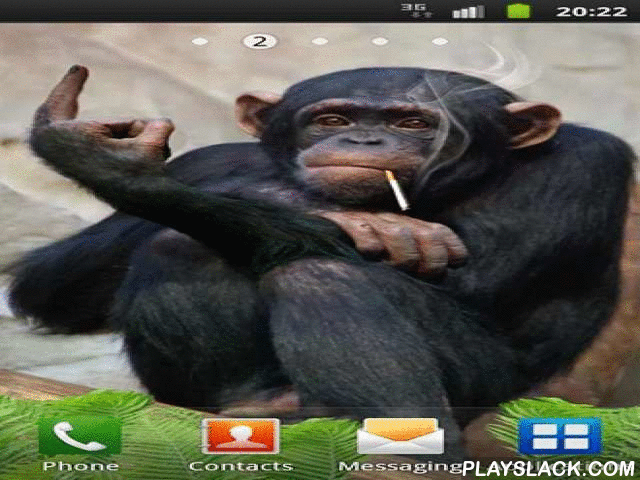 funny monkey android app playslack com funny monkey a funny medium