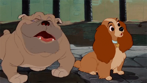 lady and the tramp disney gif find share on giphy medium