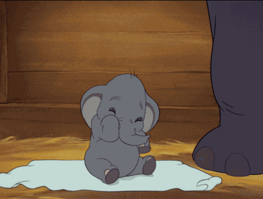 baby elephant falling gifs find share on giphy medium