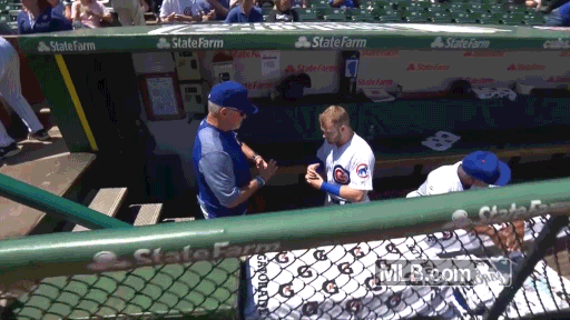 maddon gifs find share on giphy medium