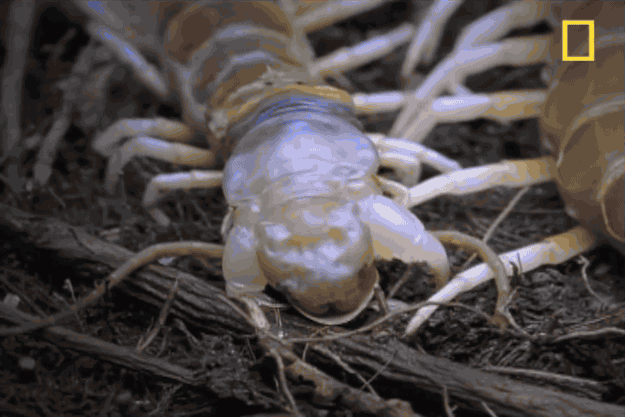 some gifs to show you just how terrifying mother nature really is medium
