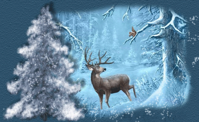 deer and squirrel in the winter forest animated medium