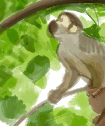 monkey digital doodle art of ty amato medium