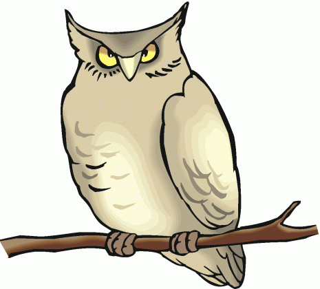 free owl clipart medium