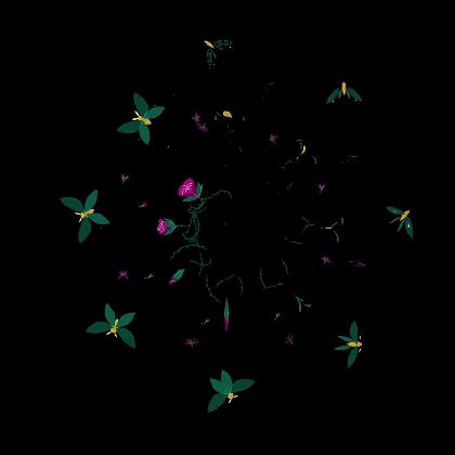 kaleidoscope botanical animations by anna taberko anna medium