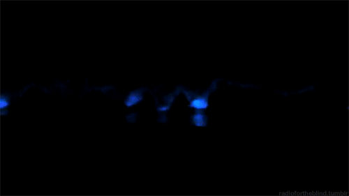 bioluminescent on tumblr medium