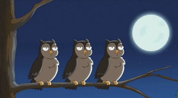 family guy owl gif find share on giphy medium