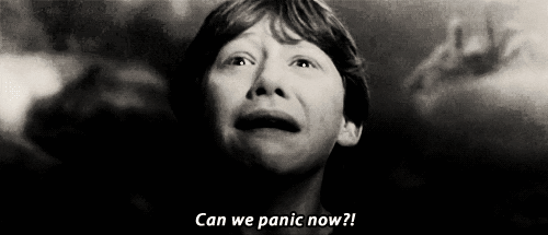harry potter panic gif find share on giphy medium
