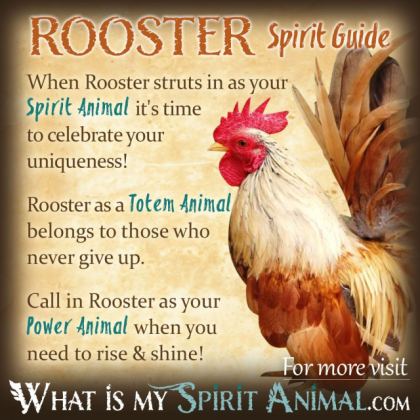 rooster symbolism meaning spirit totem power animal medium
