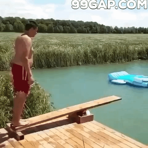 funny gif of the day gifs humor and funny gifs medium