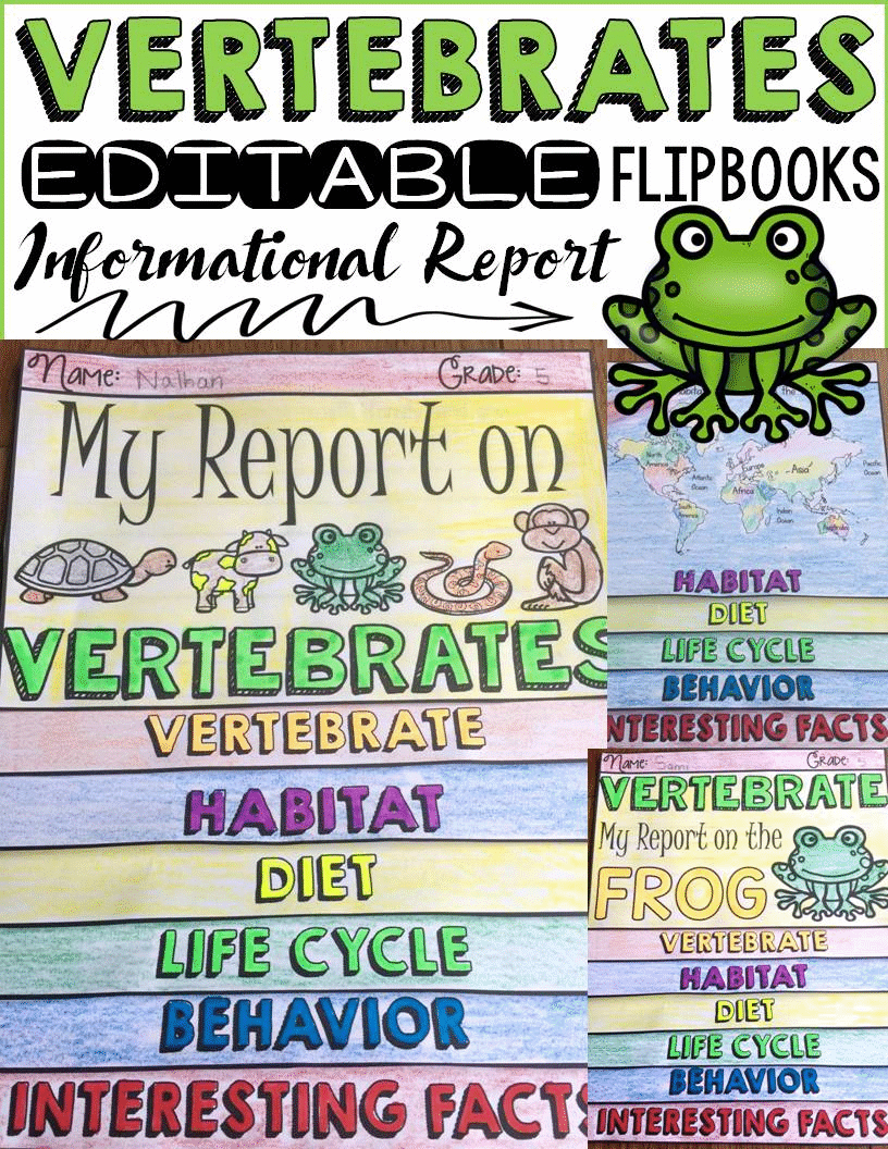 animal report vertebrates informational reports research medium