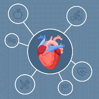 what is a cardiologist heart health heroes sgu medical blog medium