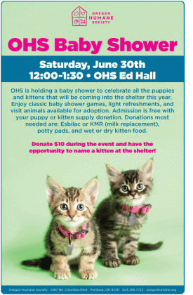 kitten shower invite great ideas for the shelter s first puppy medium